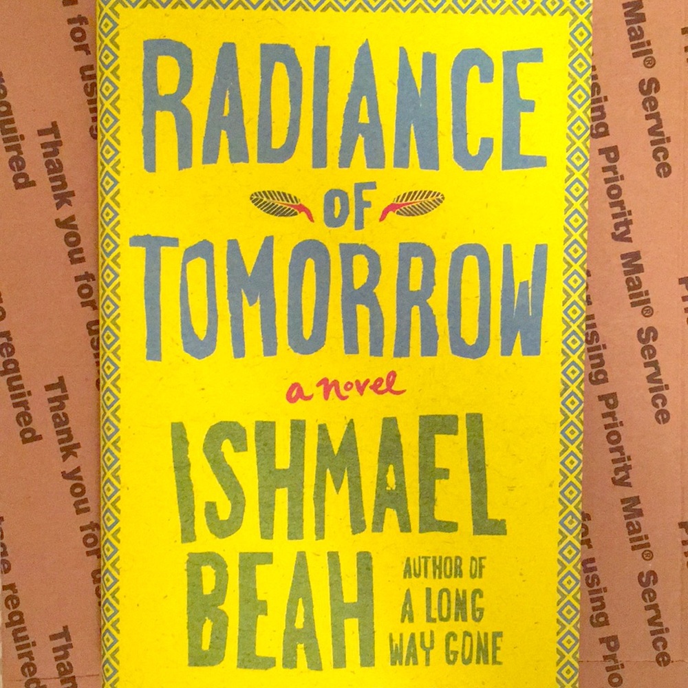 A Book. A Novel.